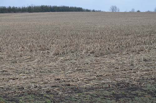 Property photo 91 - 98+/- Acres Offered in 6 Tracts or Combinations, Noble County, Indiana Farm